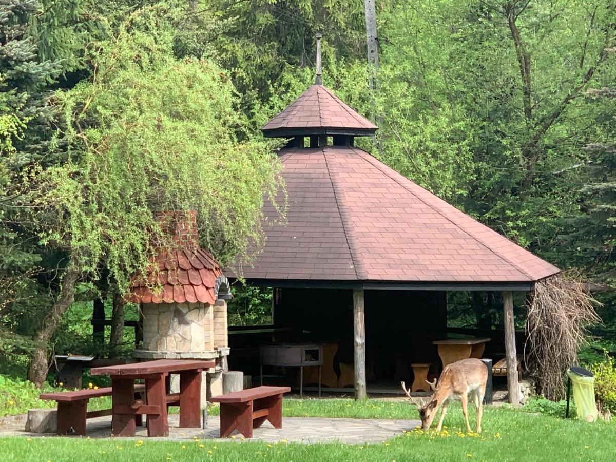 Gosciniec Pod Smrekami Acomodação com café da manhã Czorsztyn Exterior foto